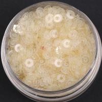White round 3mm